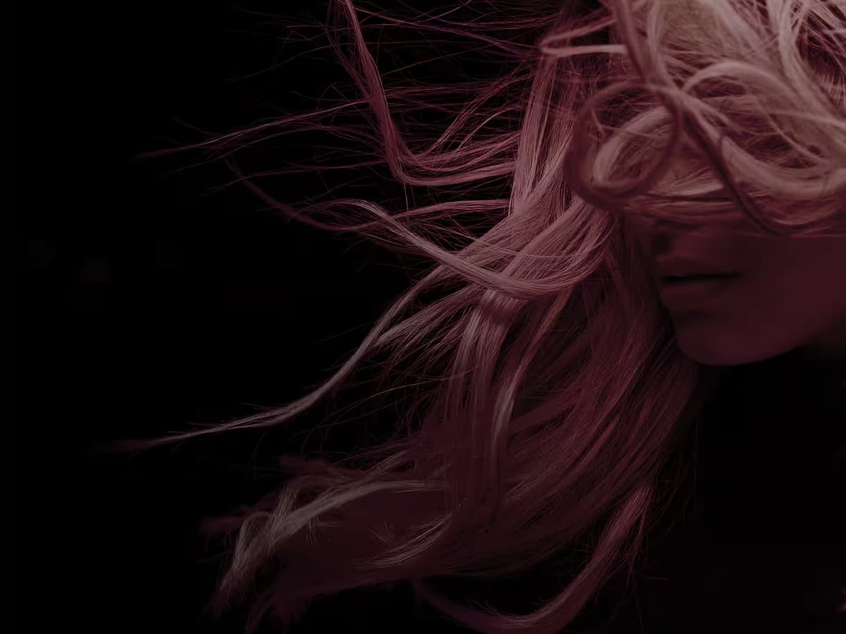 Prise de RDV en ligne